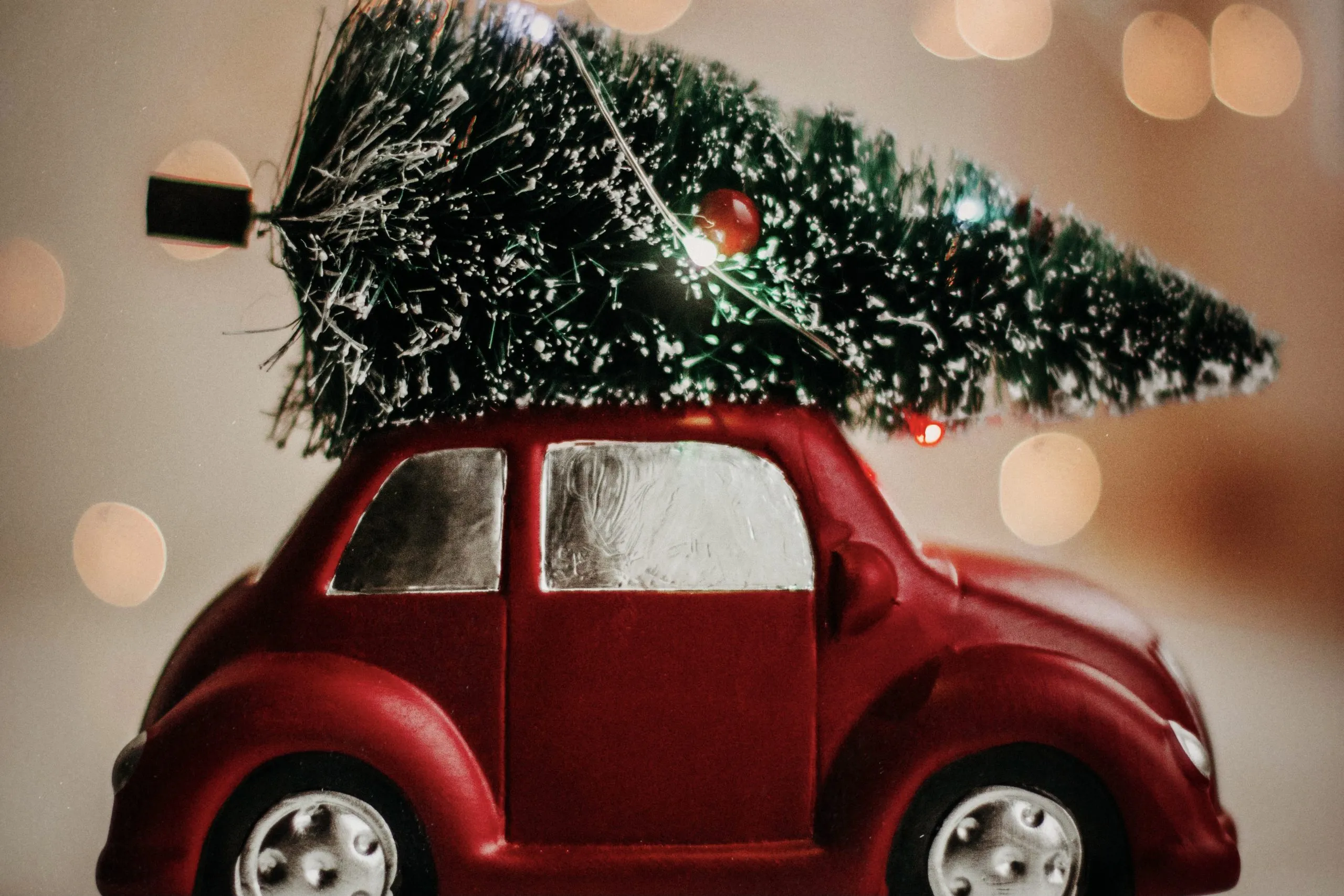 Shippr, le traineau logistique pour vos livraisons de sapins de Noël